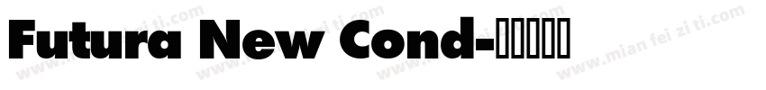 Futura New Cond字体转换